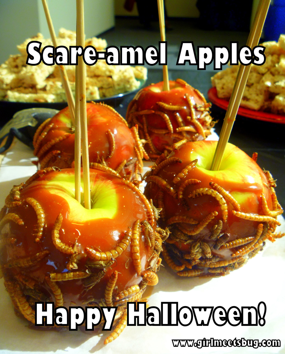 Caramel Apples and Bugs